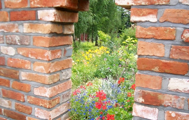 okno na fragment mojego kwiecistego raju