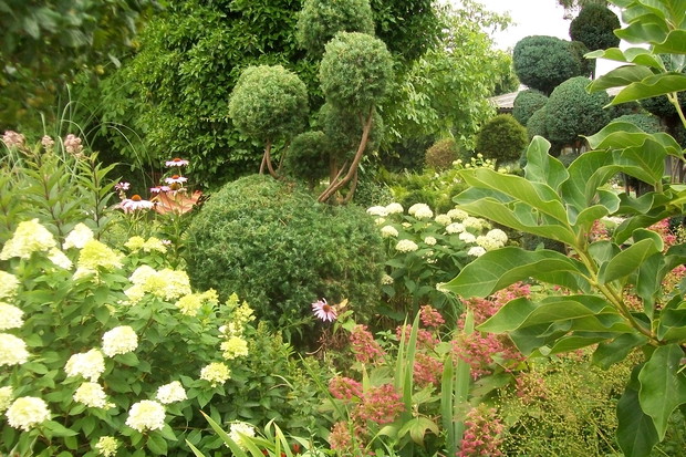 Perspektywa ogrodowa