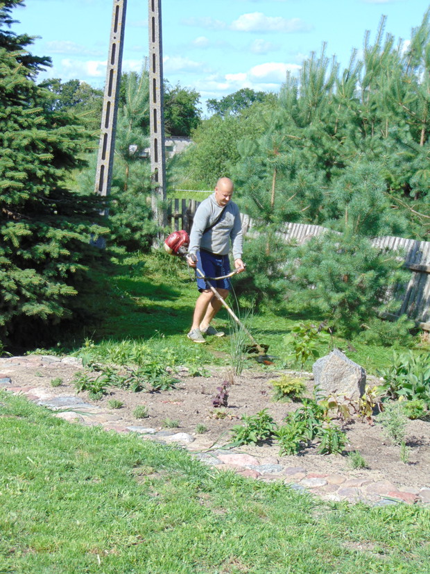 pielęgnacja trwanika