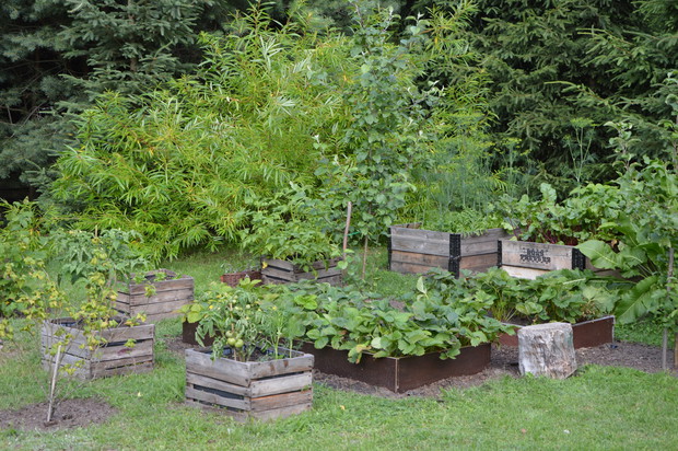 Podwyższone grządki - warzywnik 2019