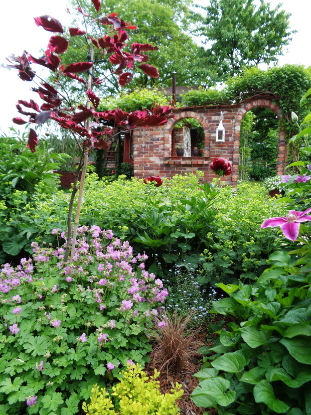 Południowa częśc ogrodu w tle murek.