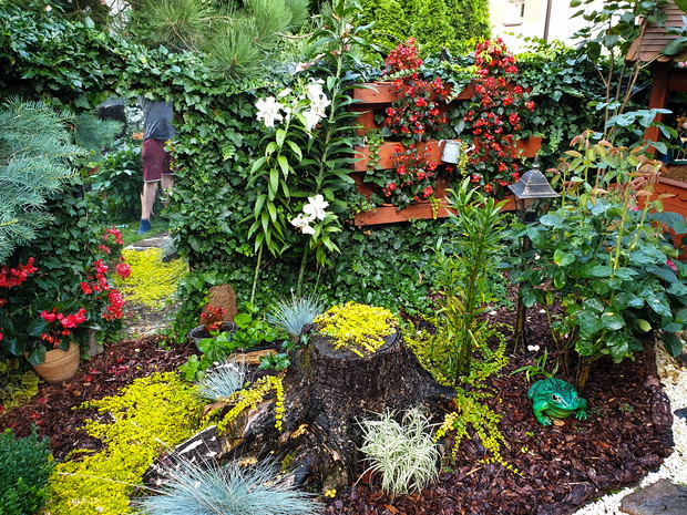 Prawy Narożnik Z Innej Perspektywy