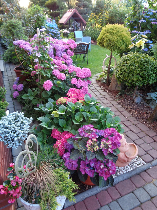 Przedogródek w pełnej krasie.