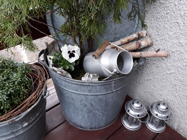 Przedwiośnie 2019 - przedogródek