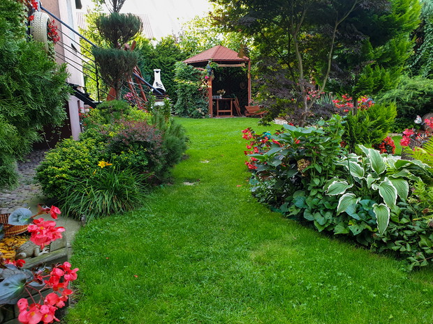 Rzut na cały ogródek