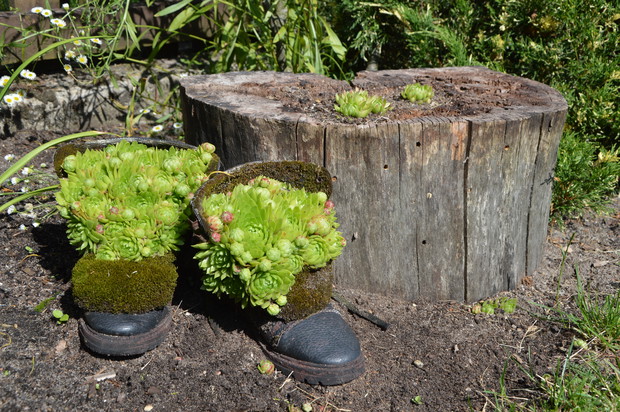 "Stare buty dwa..." - lato 2019