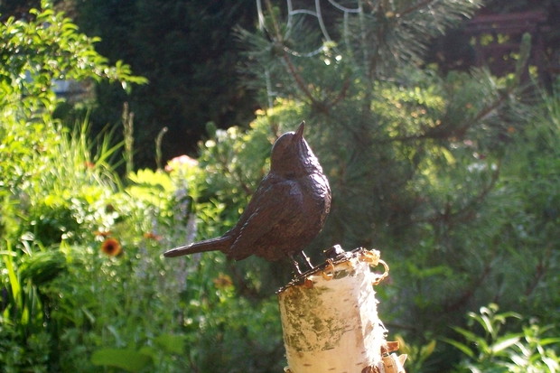 taki sobie "gość "