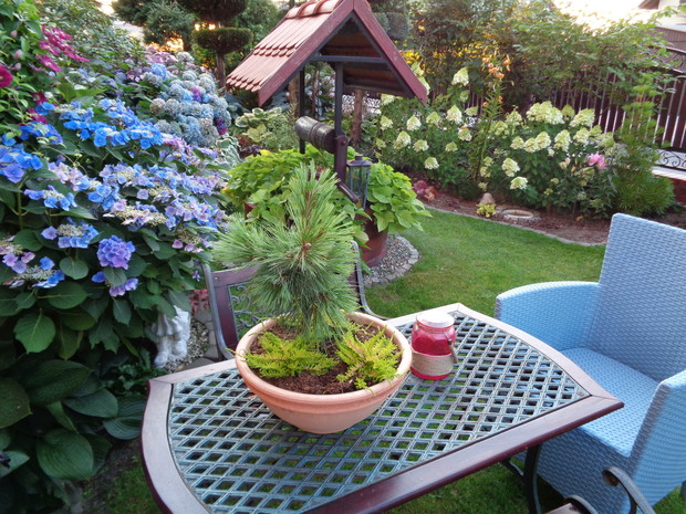 Tu zatrzymuję na chwileczkę odpoczynku.