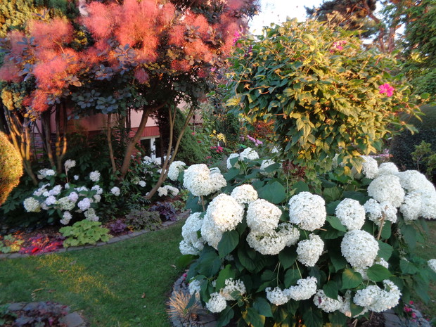 W blasku o zachodzie słońca.