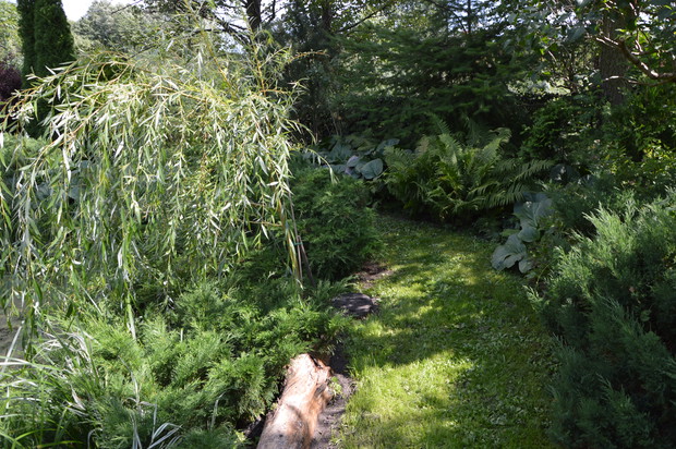 W cienistym zakątku - lato 2019