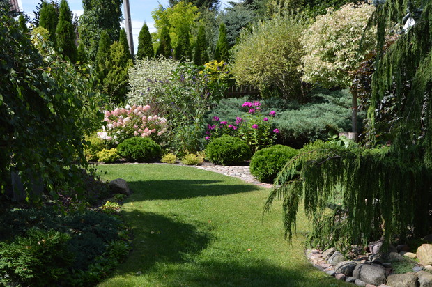 W cienistym zakątku - lato 2019