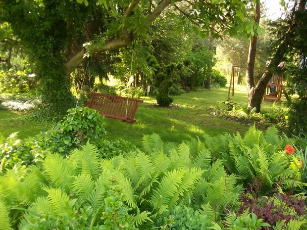 W cieniu orzecha wloskiego