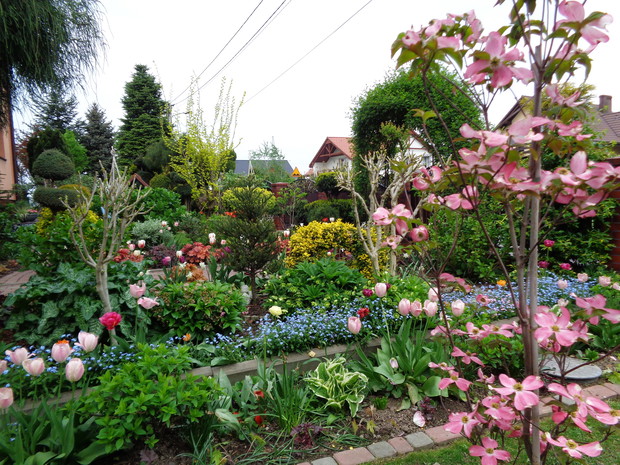 Wiosenne kobierce kwitnących kwiatów.