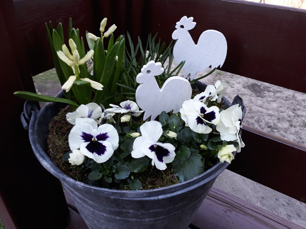 Wiosna 2019 - przedogródek