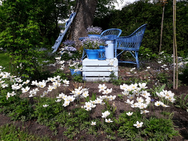 Wiosna 2019 - w błękitnym zakątku