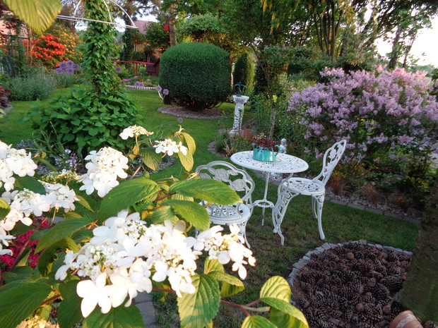 Wiosna czyni pachnidla w ogrodzie.