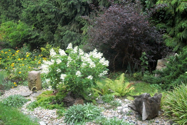 Z hortensją w roli głównej