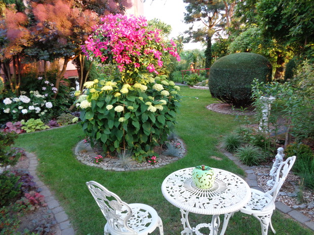 Zachodnia część ogrodu.