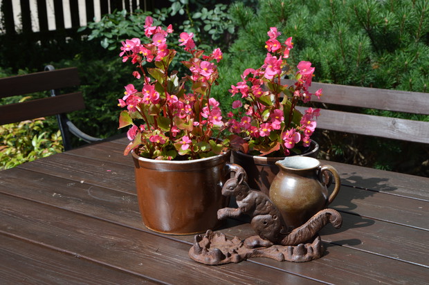 Zakątek z ławką - lato 2019