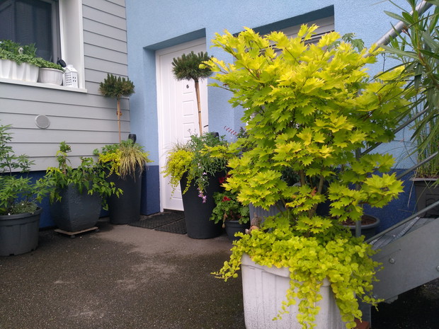 2019-06-11