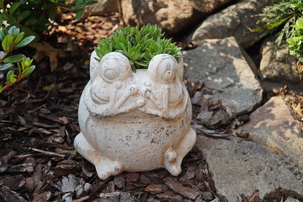 Dekoracja z wykorzystaniem ceramicznej osłonki-żaby i rojników