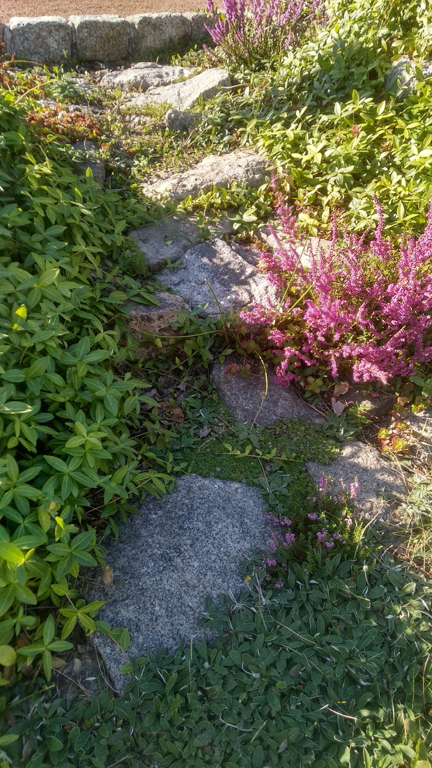 Kamienna ścieżka...