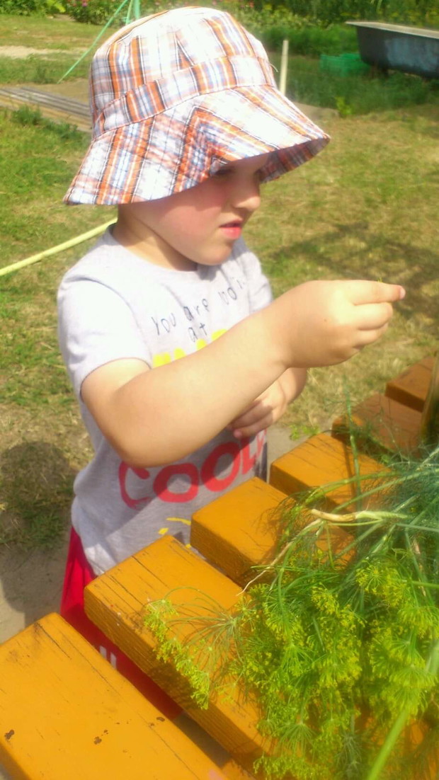 kładziemy ogorki w sloiko