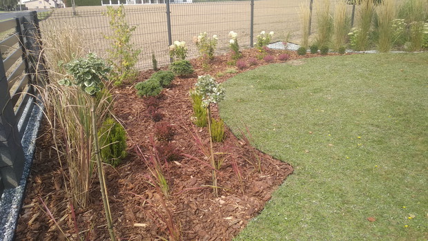 Najmłodsza rabatka...