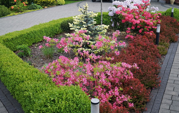 Ogród przed domem wiosną