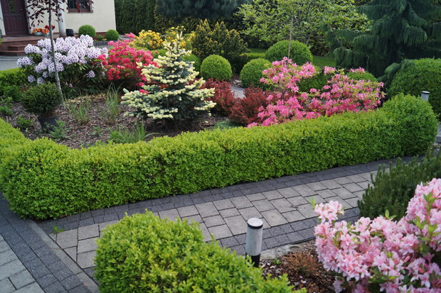 Ogród przed domem wiosną