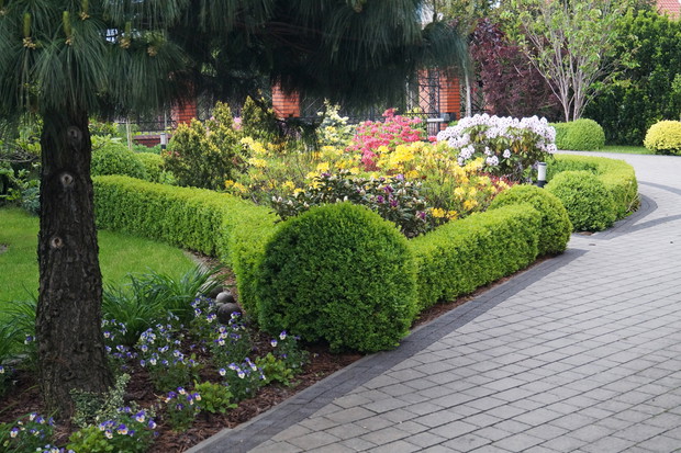 Ogród przed domem wiosną