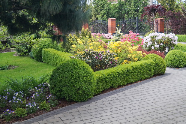 Ogród przed domem wiosną