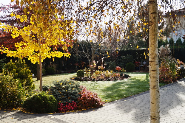 Ogród za domem jesienią