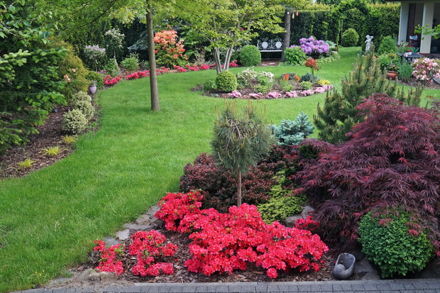 Ogród za domem wiosną