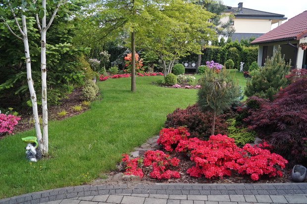 Ogród za domem wiosną