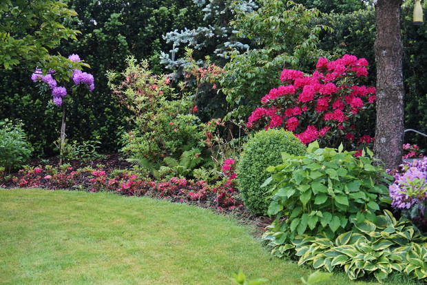 Ogród za domem wiosną