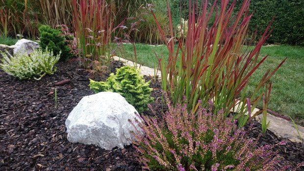 "ogrodnik doskonały 2019"