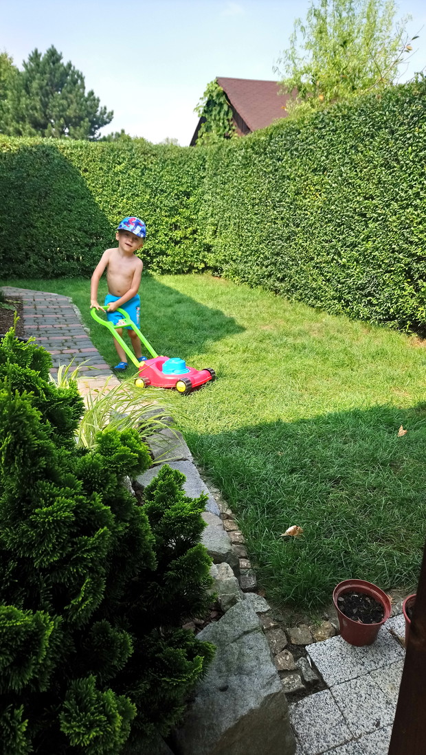 "ogrodnik doskonały 2019"