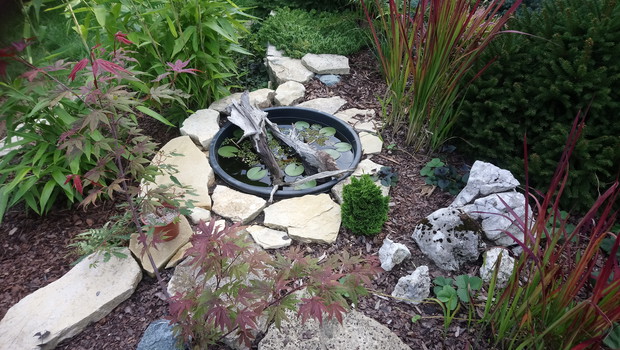 "ogrodnik doskonały 2019"