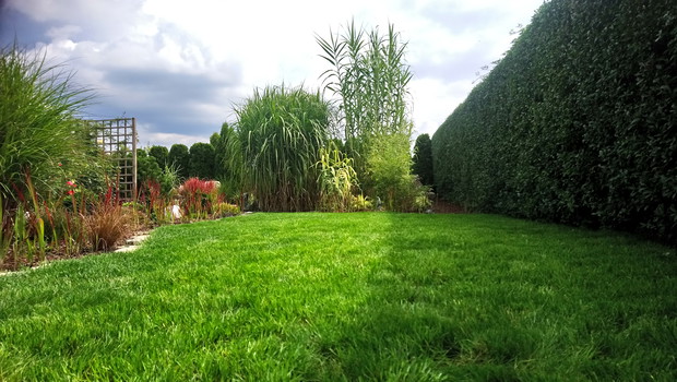 "ogrodnik doskonały 2019"