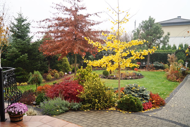 Widok na ogród za domem jesienią