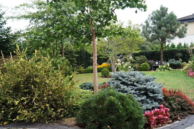 Widok na ogród za domem