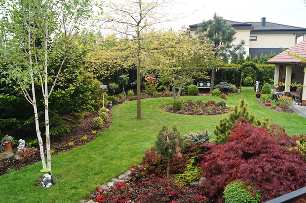 Widok na ogród za domem