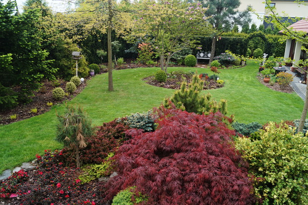 Widok na ogród za domem