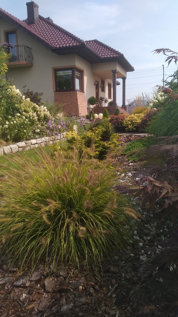 Z innej perspektywy...