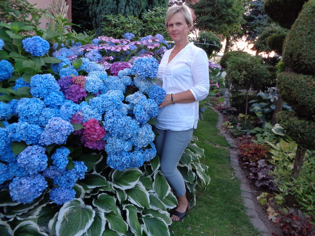 moja pasja moja radość