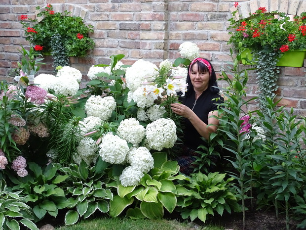 Moje, najpiękniejsze hortensje.