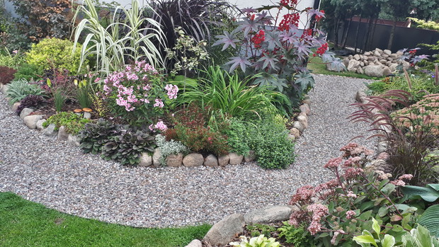 Na rabacie króluje kolor różowy