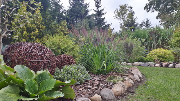 Na rogu rozplenica moudry