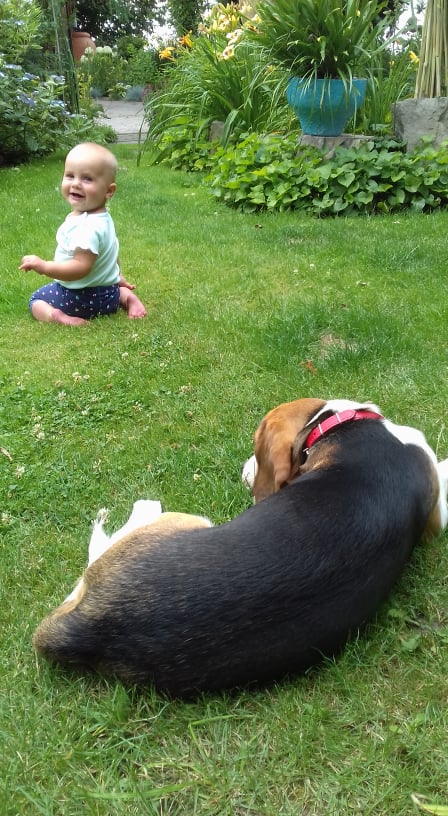 Najlepsza zabawa w ogrodzie